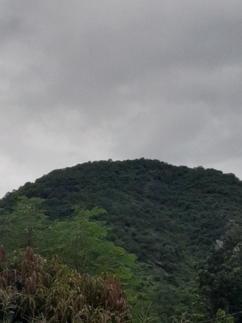 Gündüz Uykusu (Power Nap) Faydaları